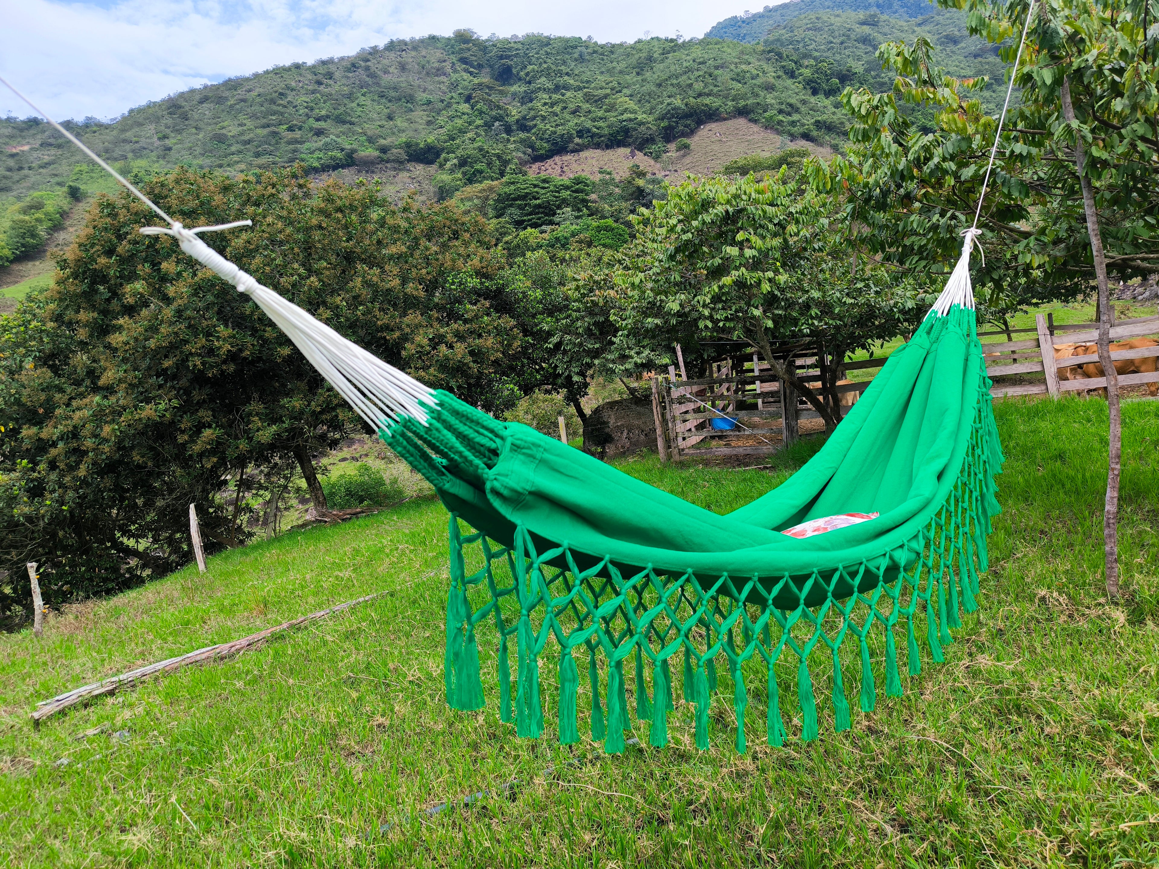 Hamaca Colgante de Algodón Doble: El Descanso Perfecto para tu Hogar