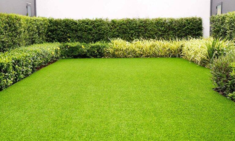 Semillas de Césped Premium 50g: El Pasto Perfecto y Verde para tu Jardín
